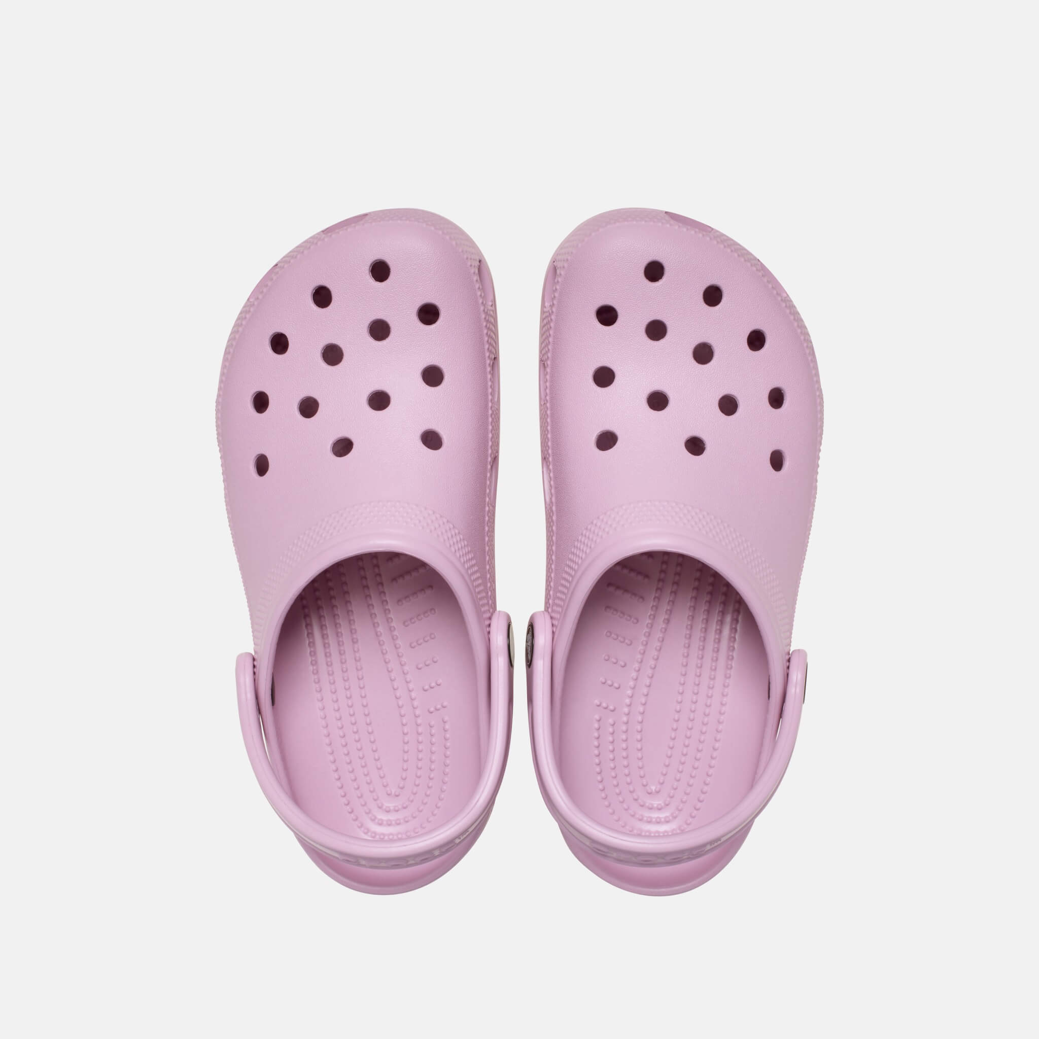 Classic Clog Hydrangea