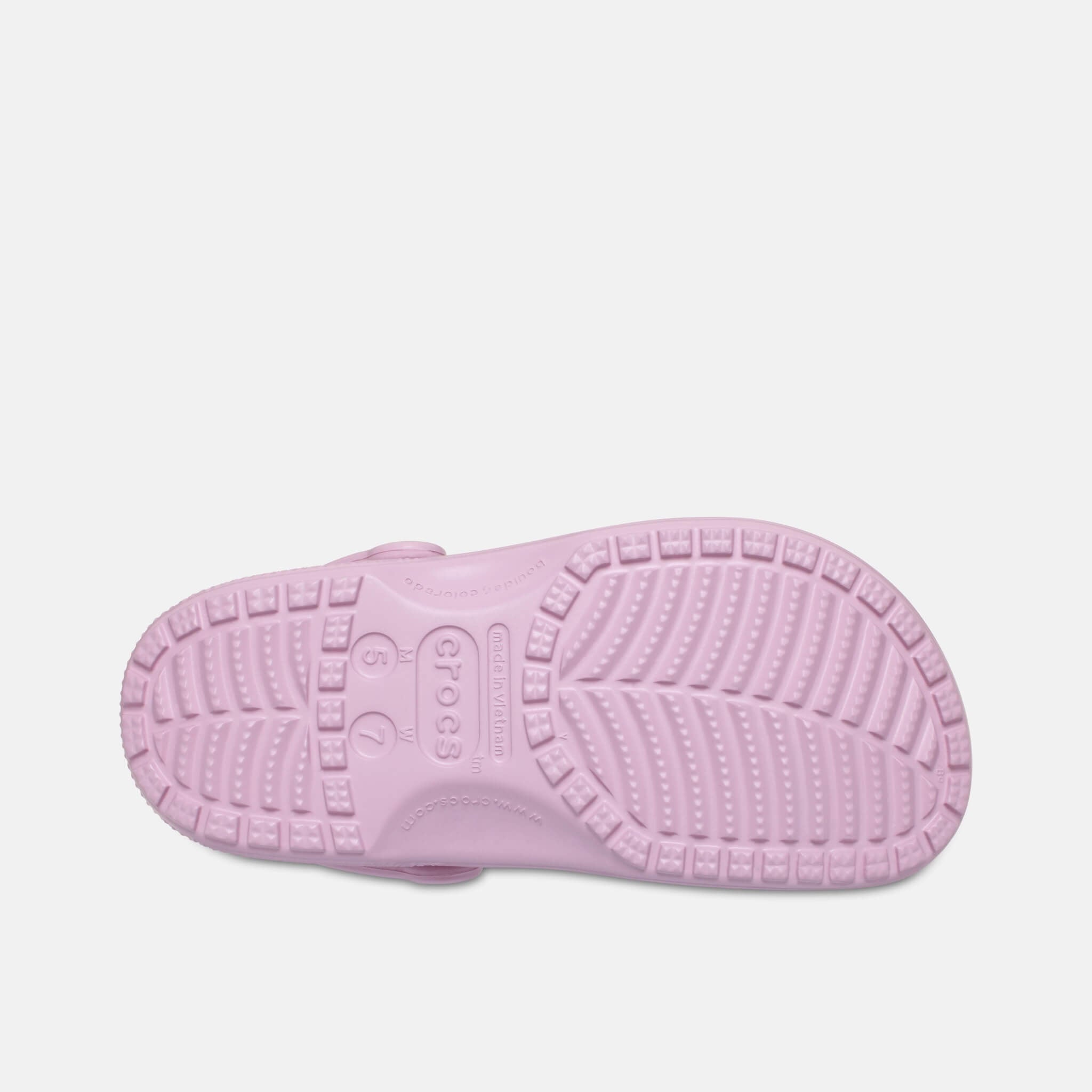 Classic Clog Hydrangea