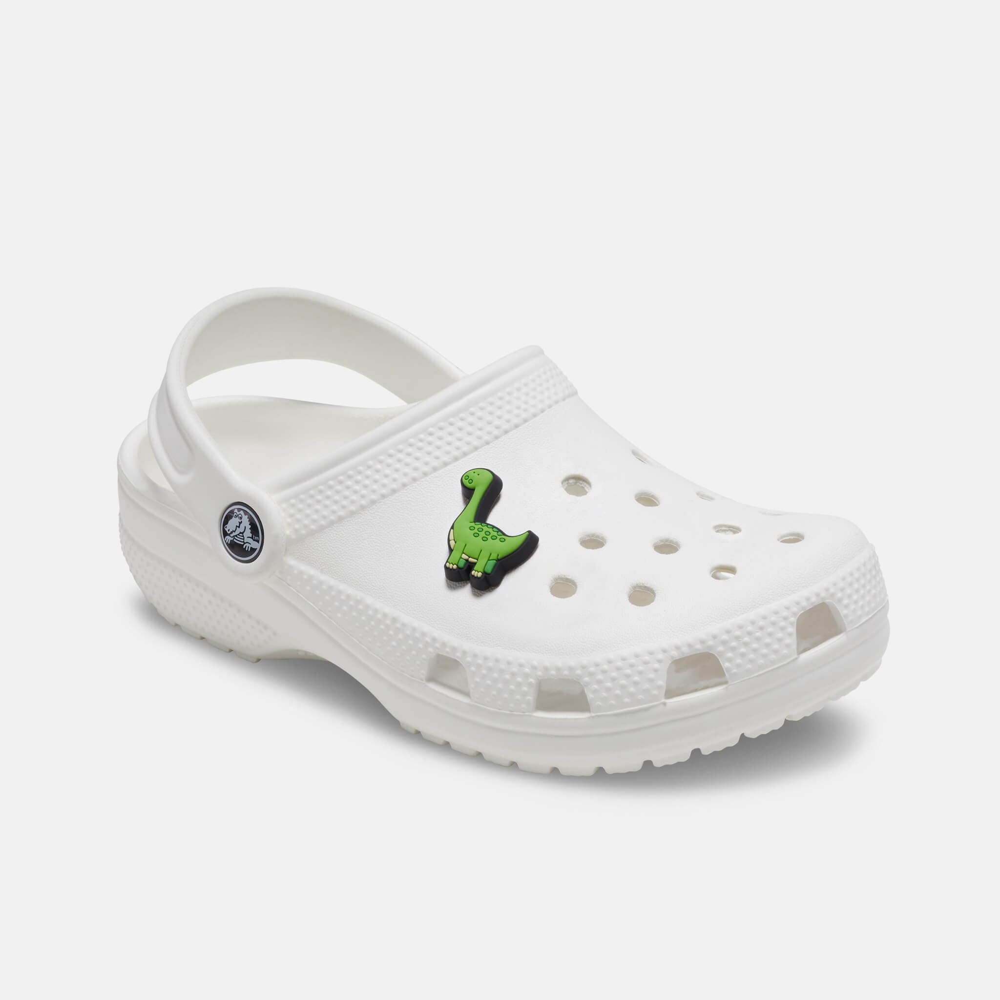 Odznáček Jibbitz – Boys Rule Green Dino