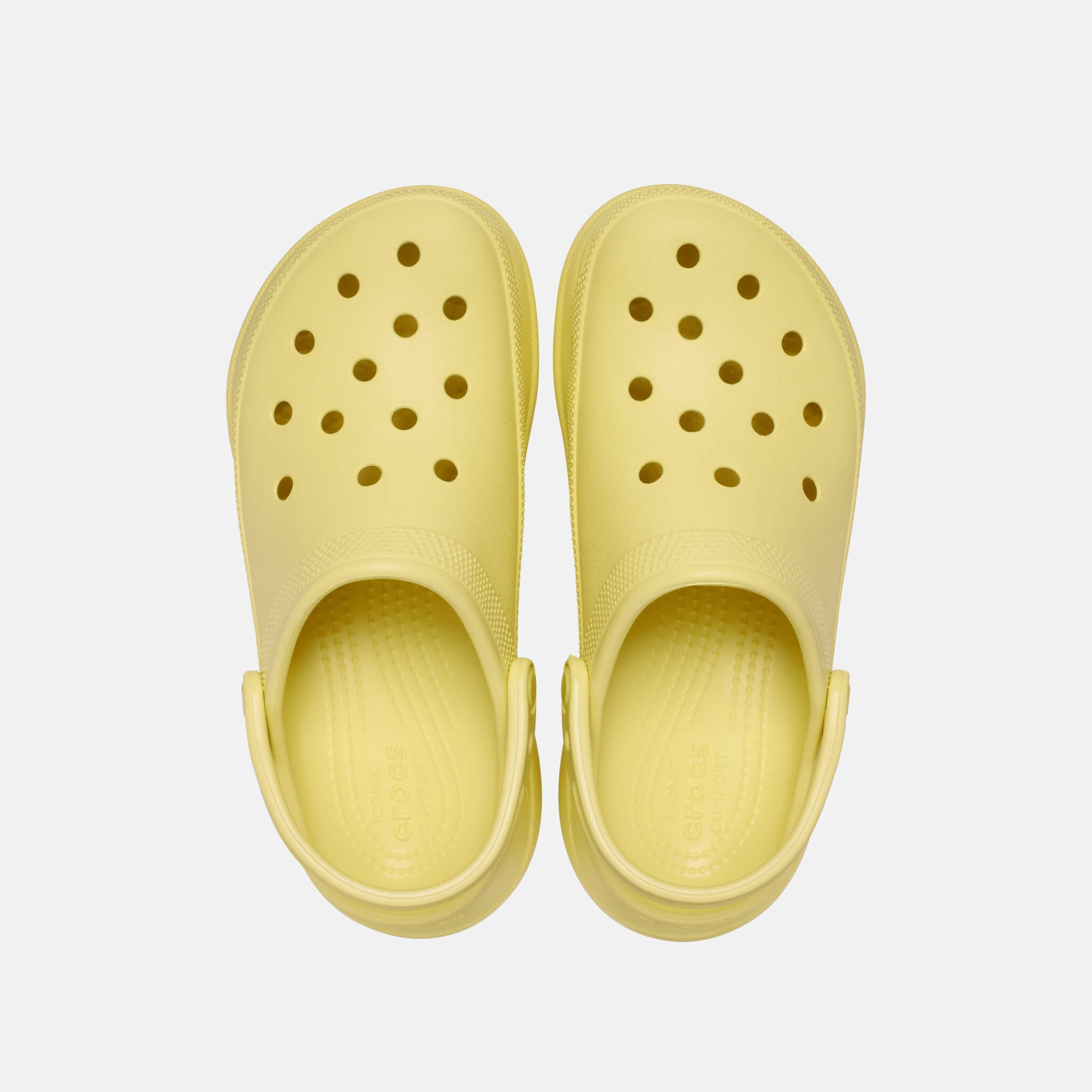 Classic Bae Clog Daylily