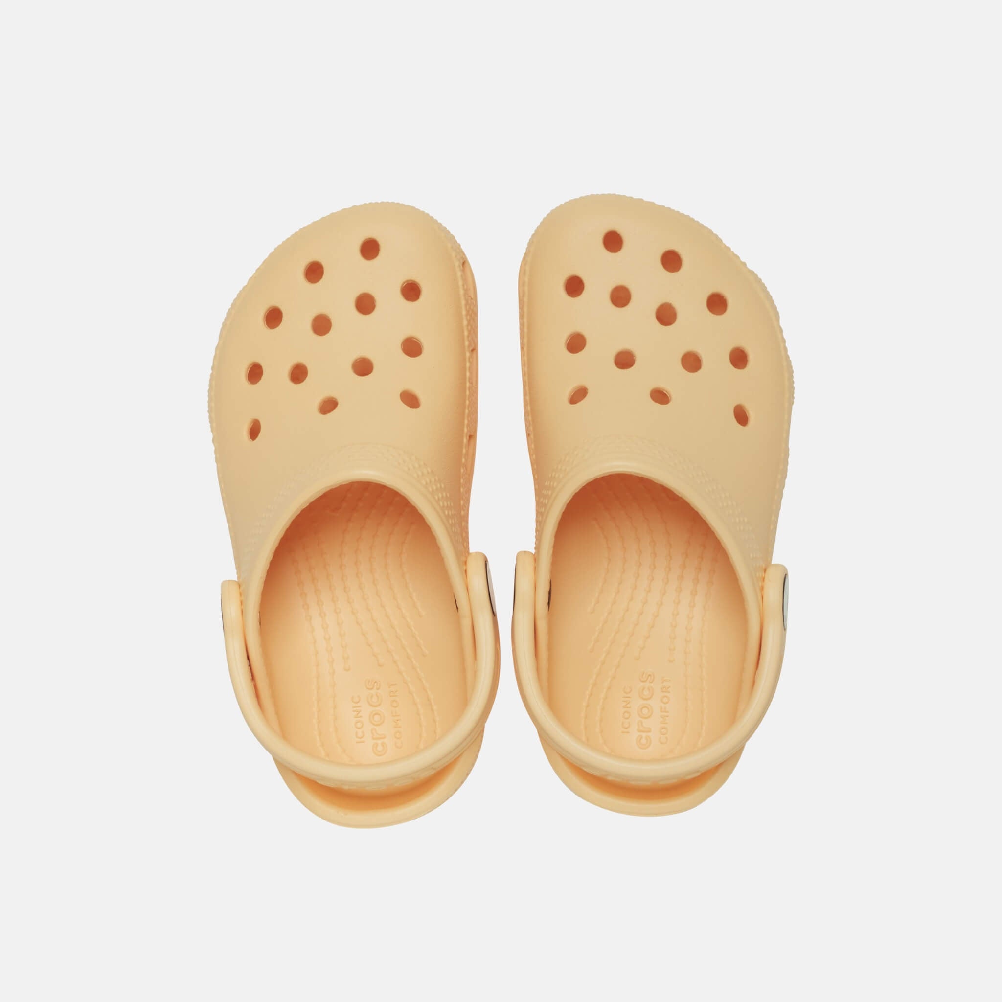 Classic Clog T Golden Hour