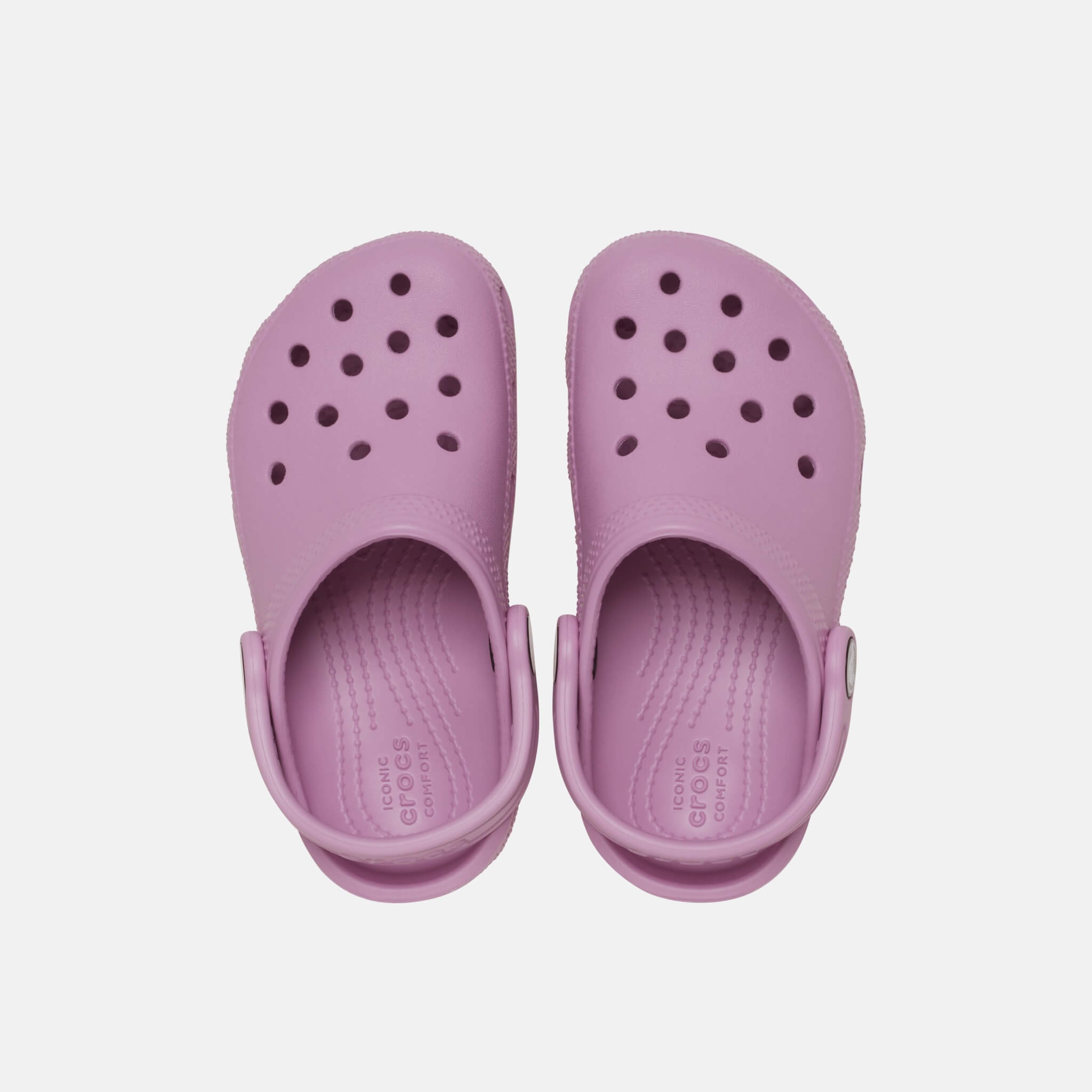 Classic Clog K Hydrangea