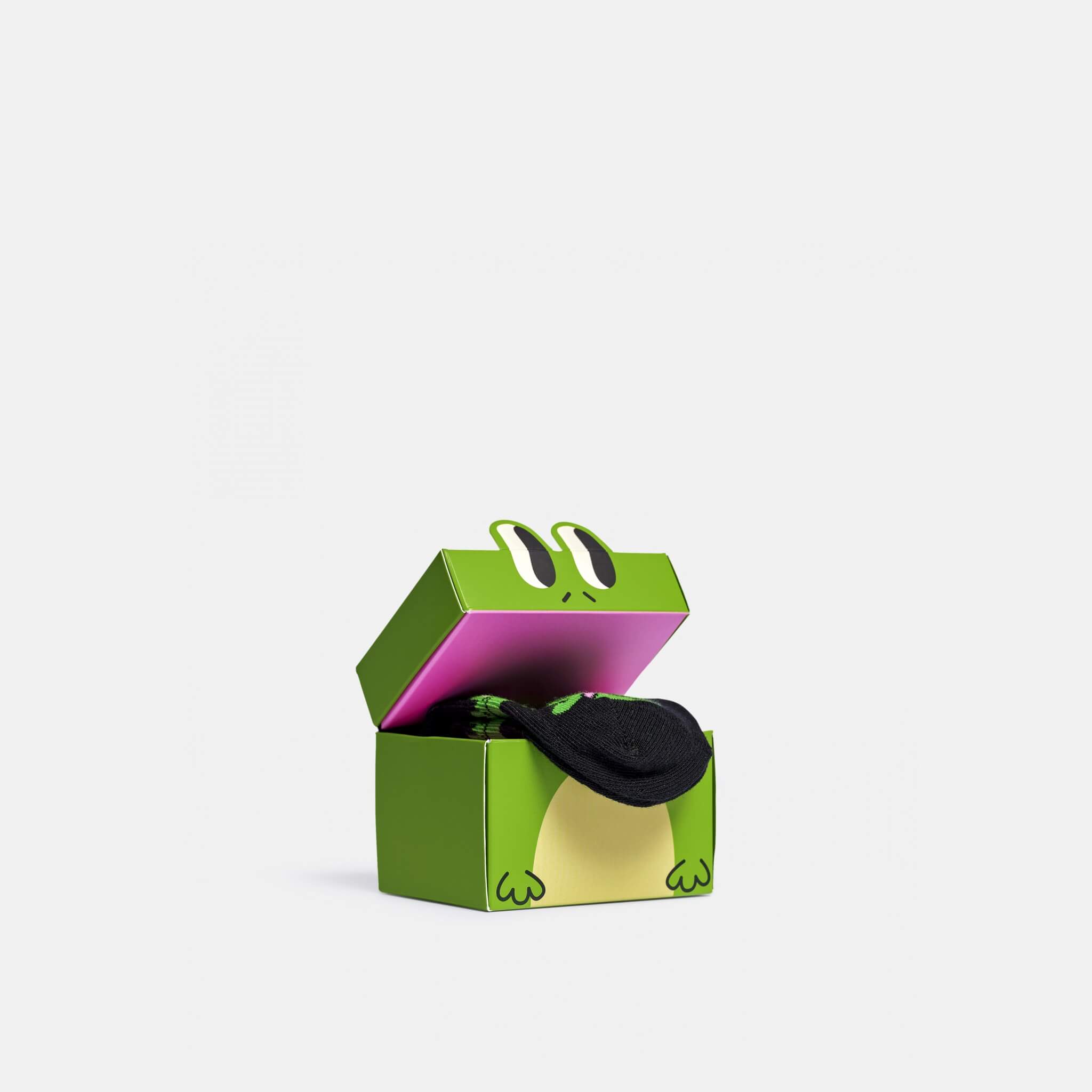 Dárkový box ponožek Happy Socks Mini & Me Froggys – 2 páry