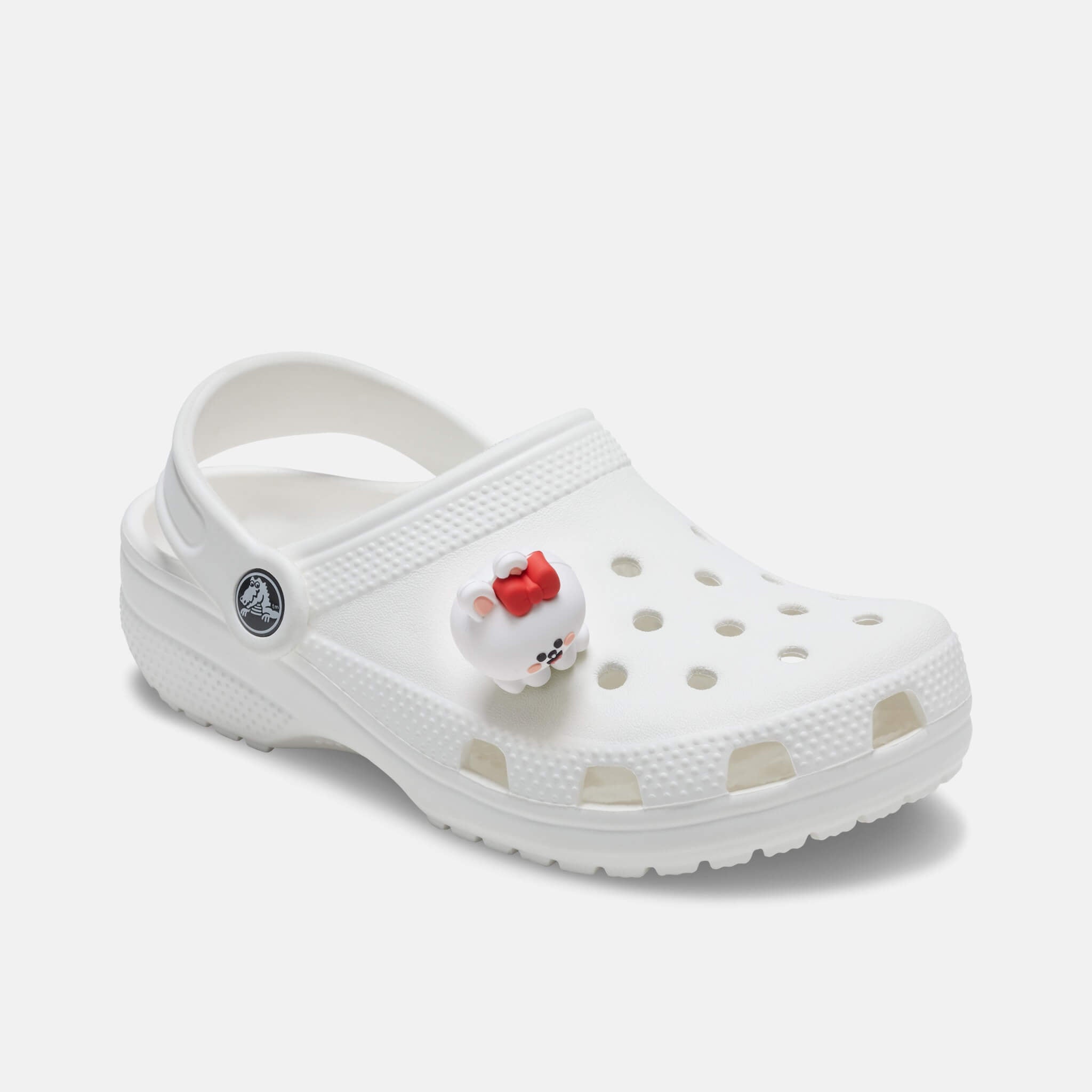 Odznáček Jibbitz – Line Friends 2