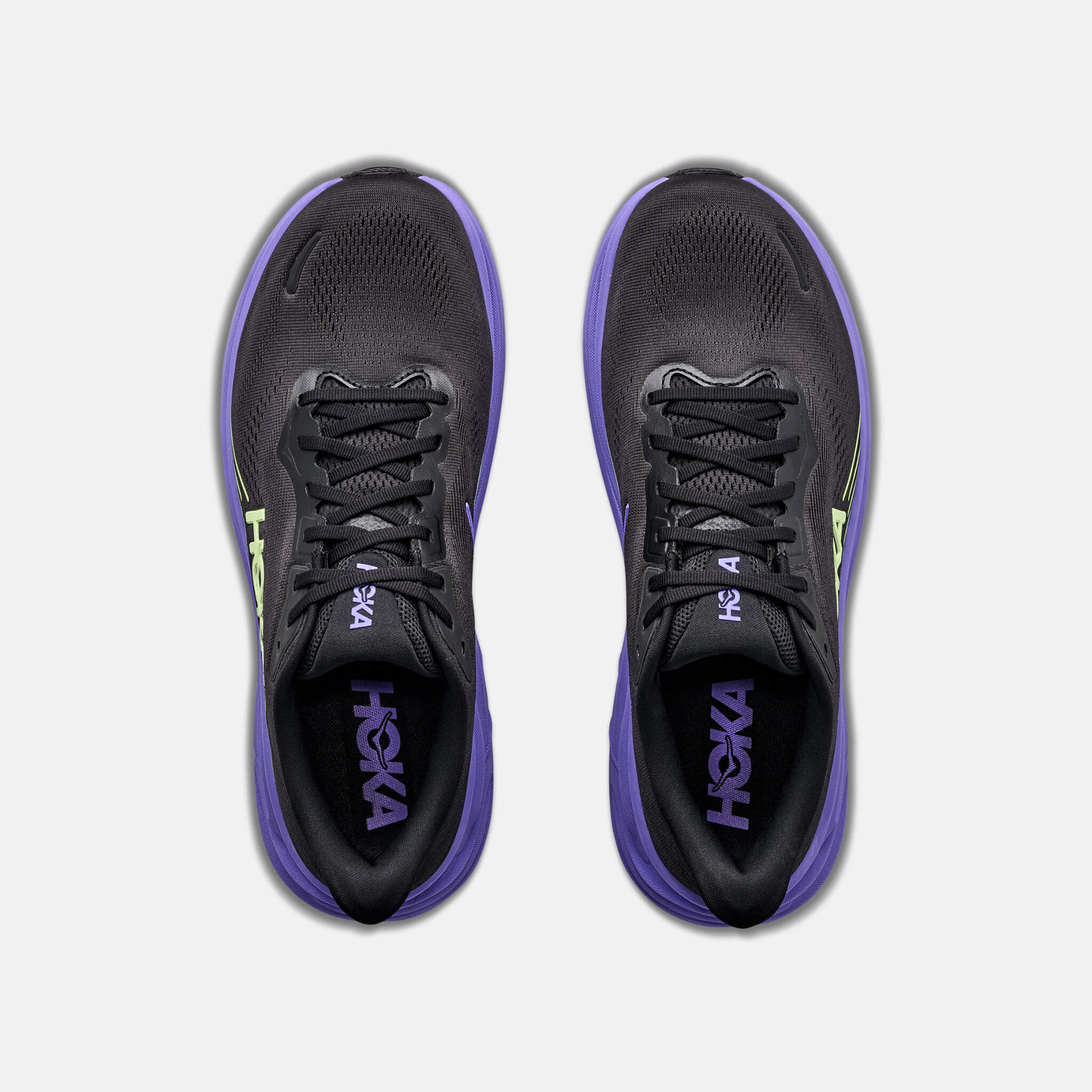 1176572_BNNY_03.jpg