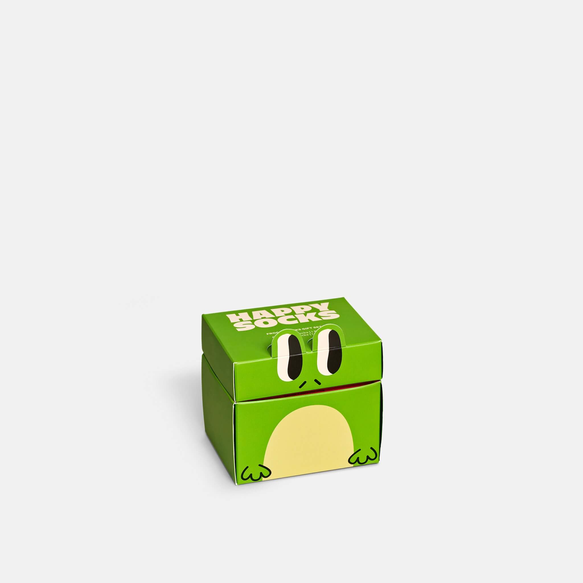 Dárkový box ponožek Happy Socks Mini & Me Froggys – 2 páry