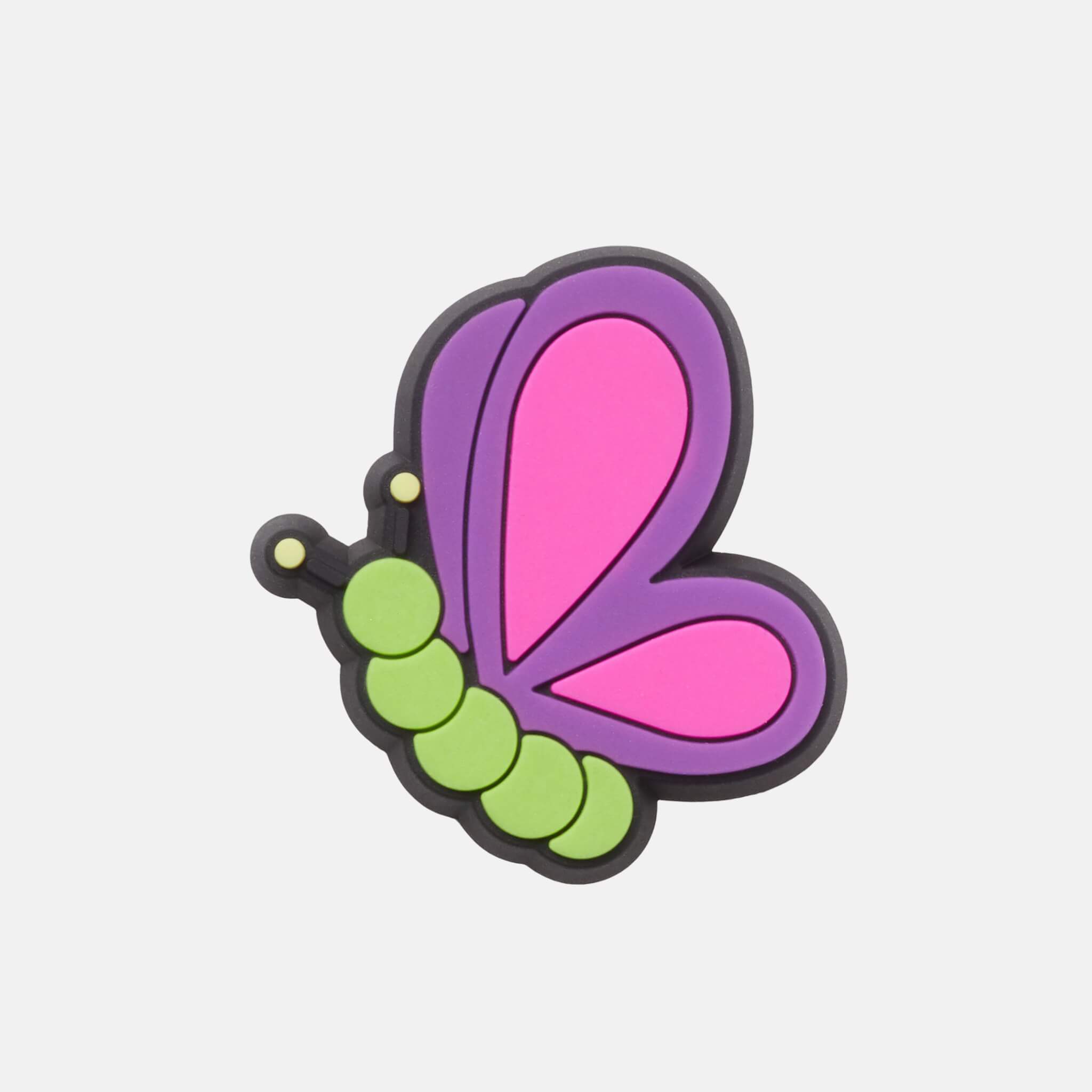 Colorful Butterfly