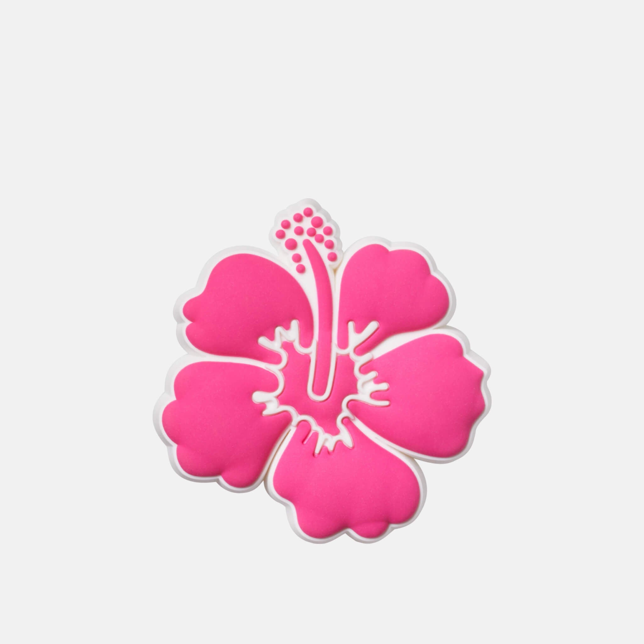 Pink Hibiscus