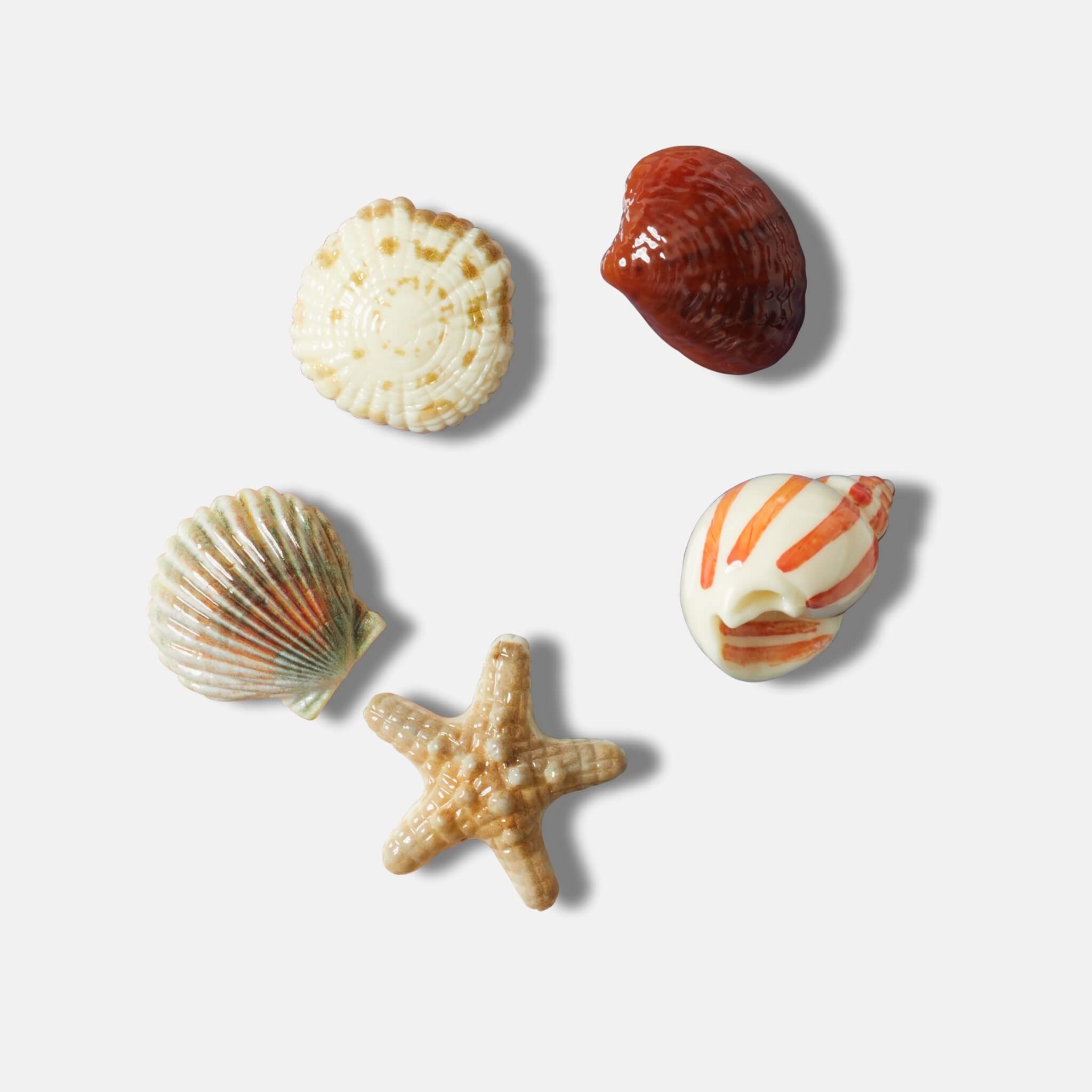 Odznáček Jibbitz – She Sells Seashells 5 ks