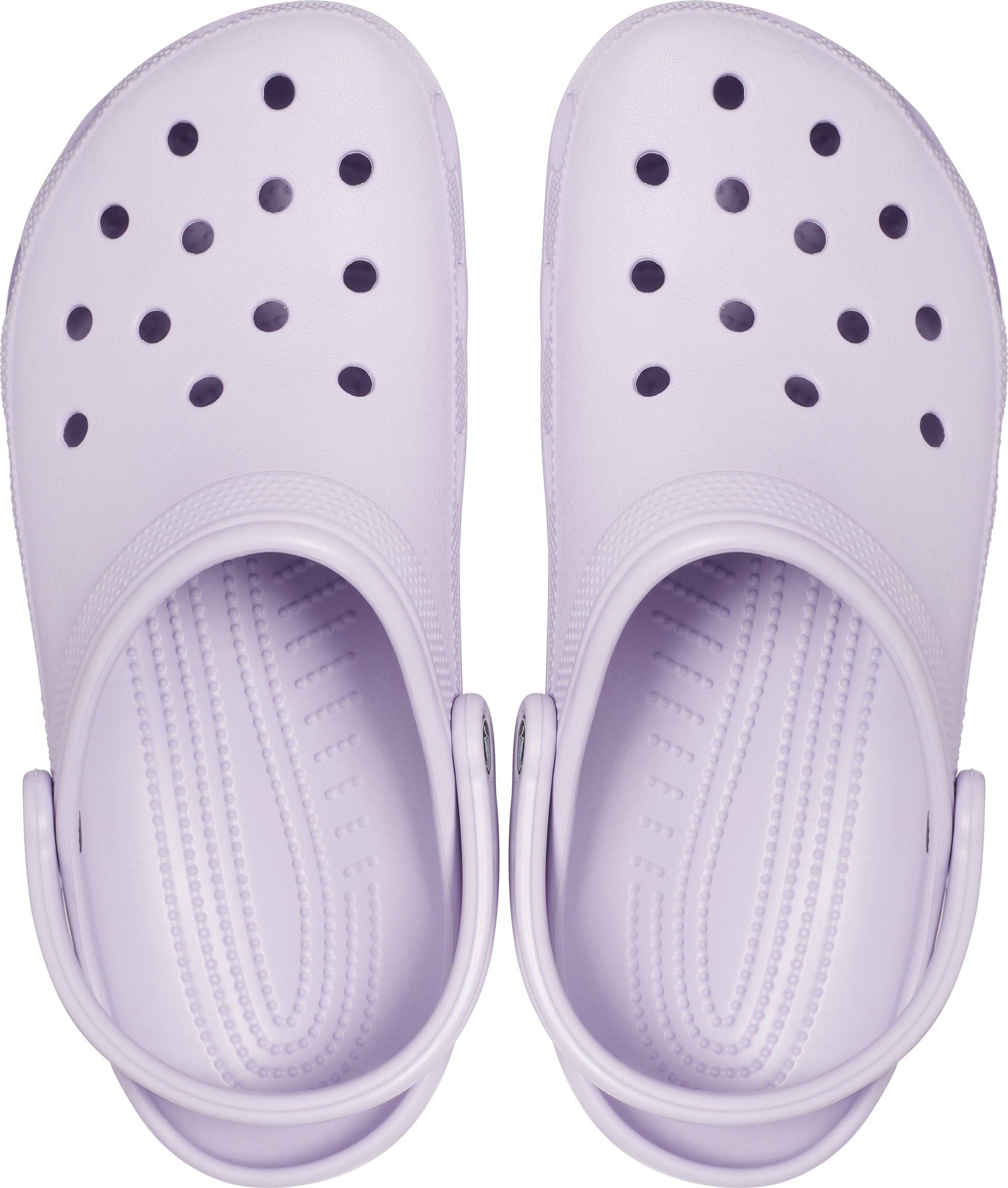 Classic Lavender